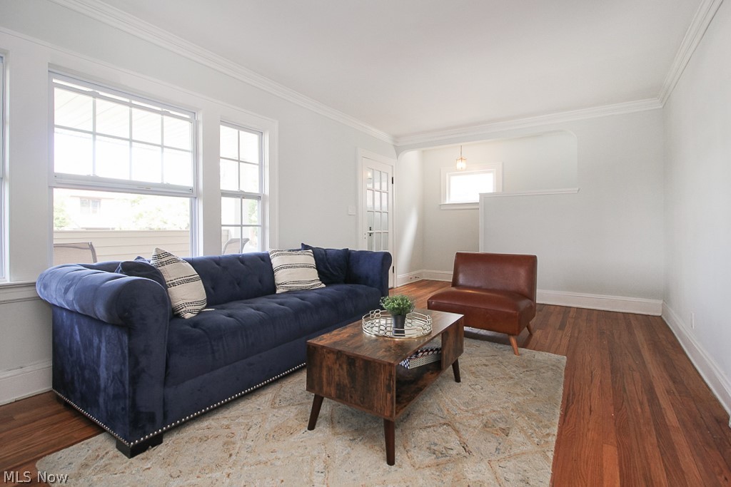 Taylor Park Land Companys Forest - Residential