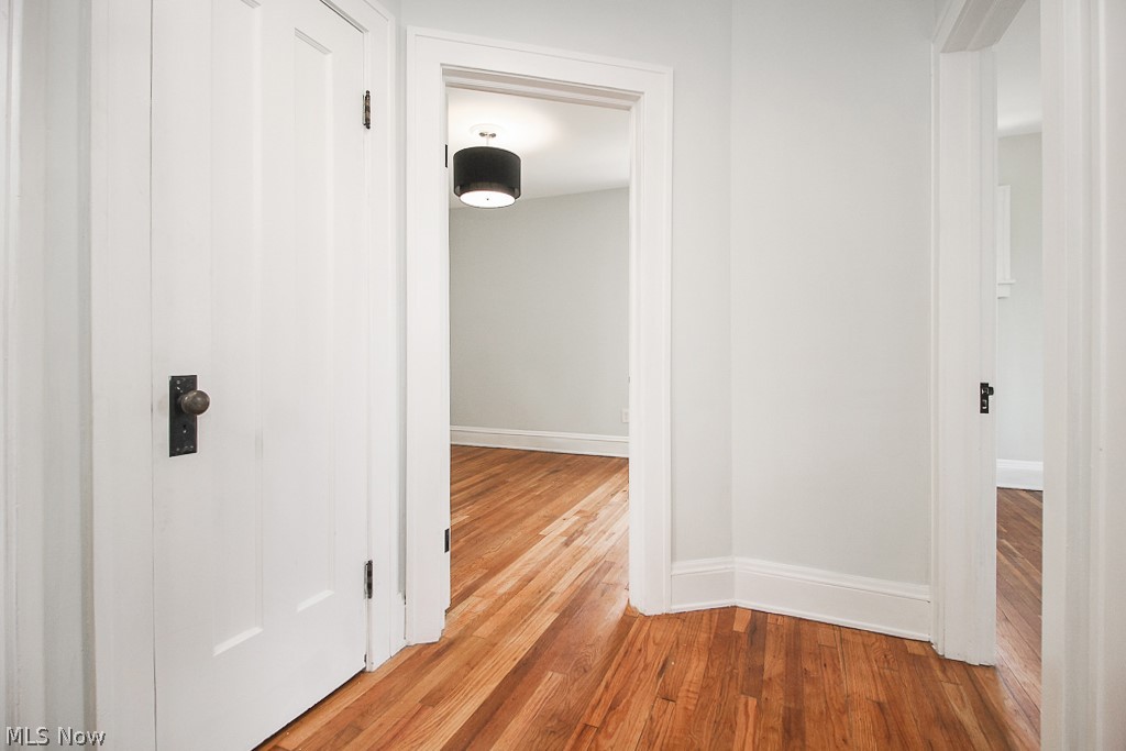 Taylor Park Land Companys Forest - Residential