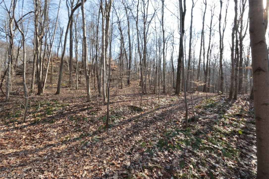 Underwoods Add - Land