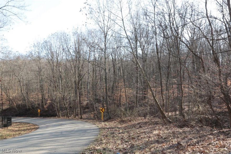 Looking for your own piece of recreational land close to town, yet with a great country atmosphere? This 25 acre M/L parcel is available on the edge of town, just off Dresden Road. Excellent piece for all your toys, to build a cabin, or just a nice place to unwind and relax! Property is subject to a new survey, taxes to be determined, and is currently being taxed under CAUV. Additional land may be available, along with a beautiful home! See MLS #3864313 and call for more explanation!