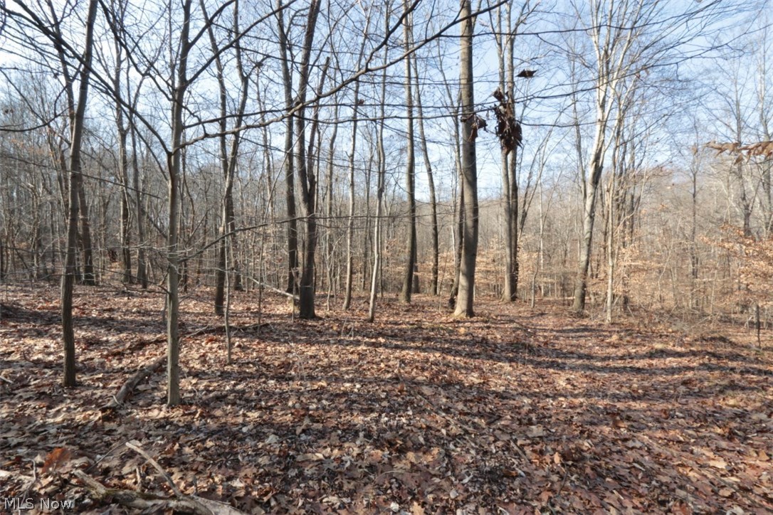 Underwoods Add - Land