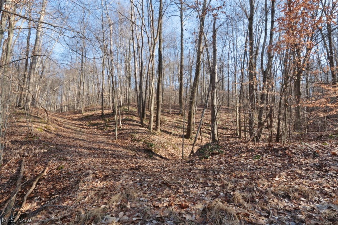 Underwoods Add - Land