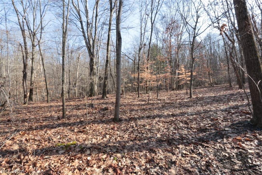 Underwoods Add - Land