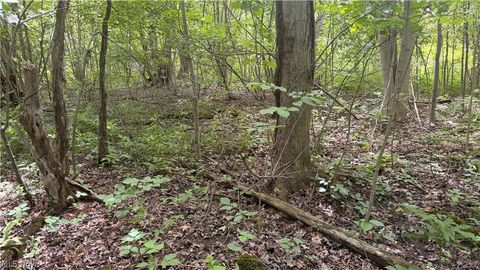 Vacant Land For Sale - Ninevah Road<br/> Geneva, OH 44041