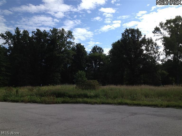 Tappan Subdivision aka Terra Cove Devt - Land