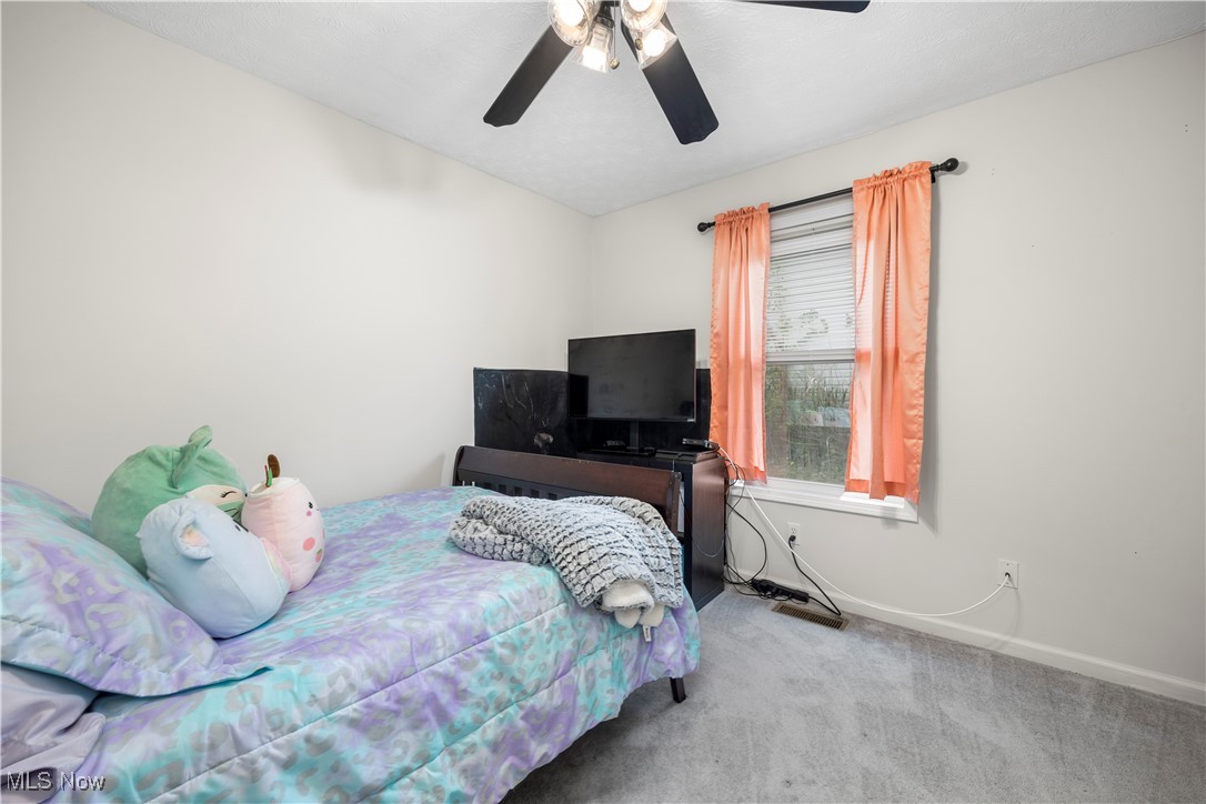 41663 Rosewood Street, Elyria, Ohio image 11