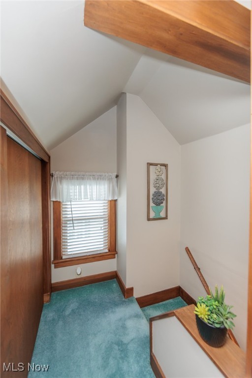 Cuyahoga View Heights - Residential