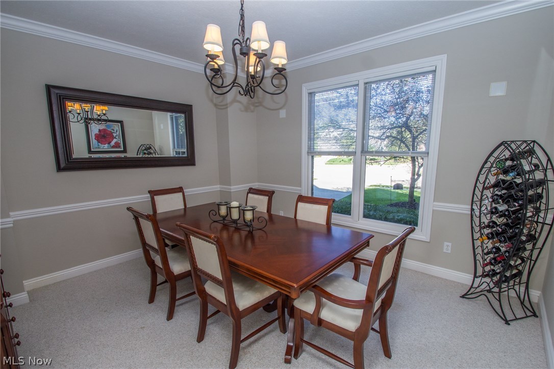 Red Tail 01 - Residential