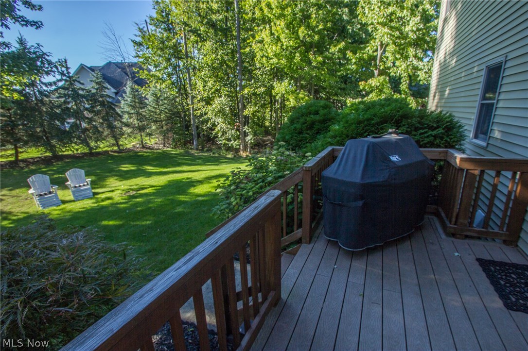 Red Tail 01 - Residential