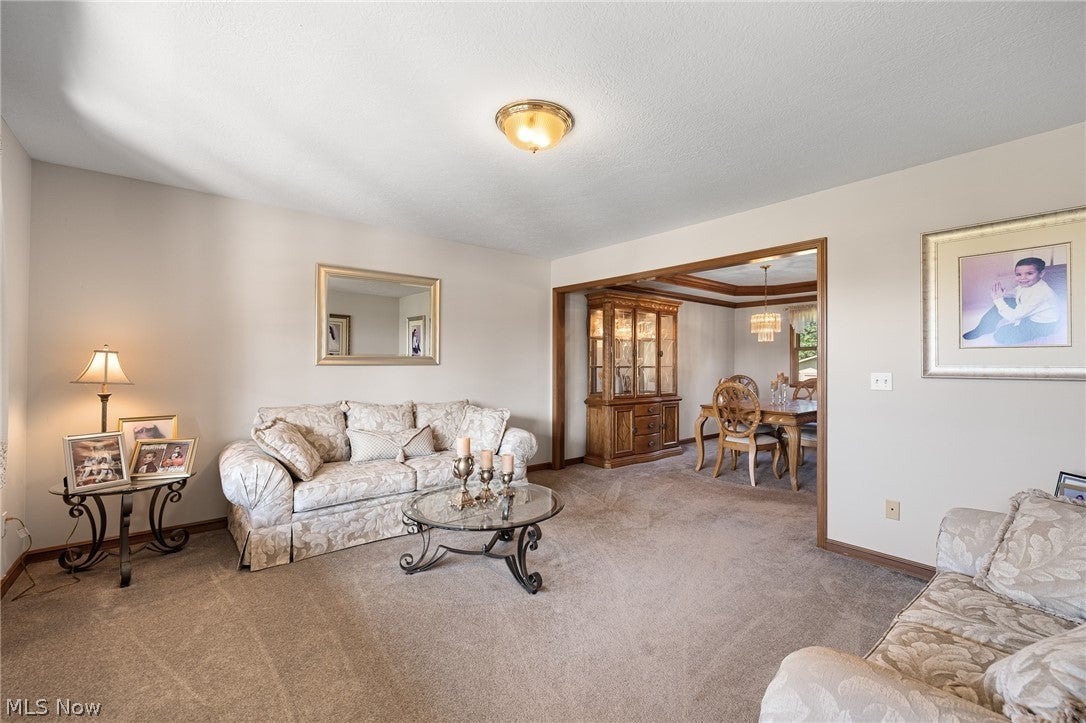 6656 Willow Lake Drive