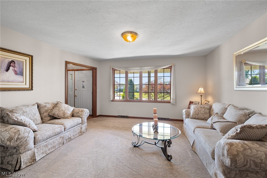 6656 Willow Lake Drive