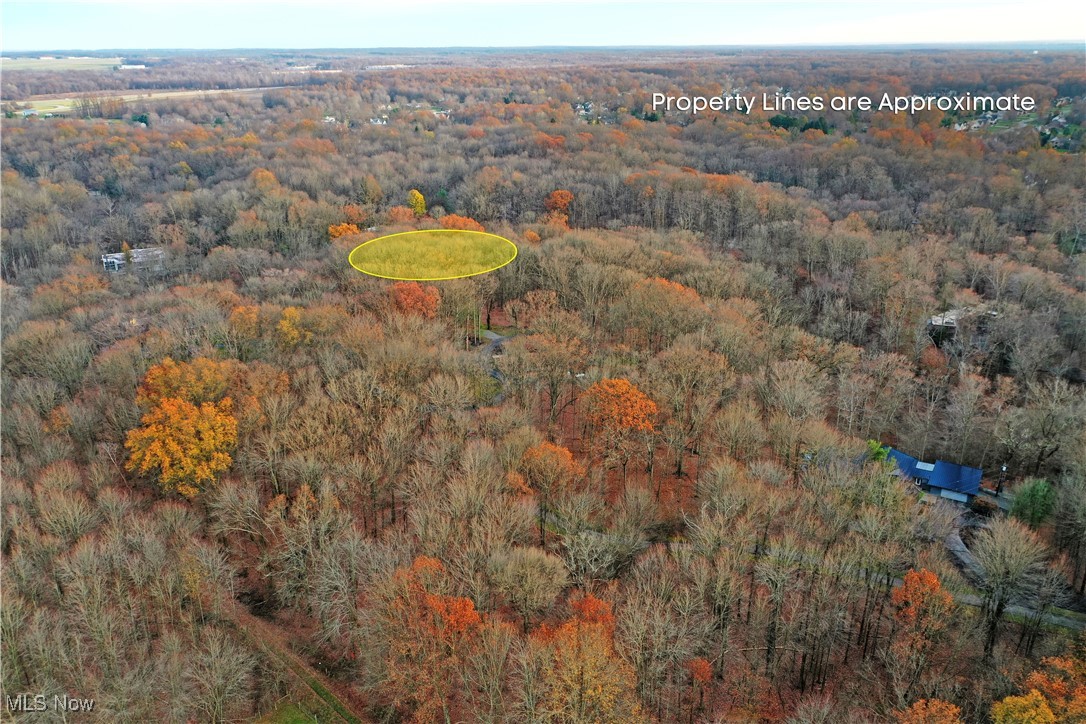 Muir Woods Drive, Warren, Ohio image 17