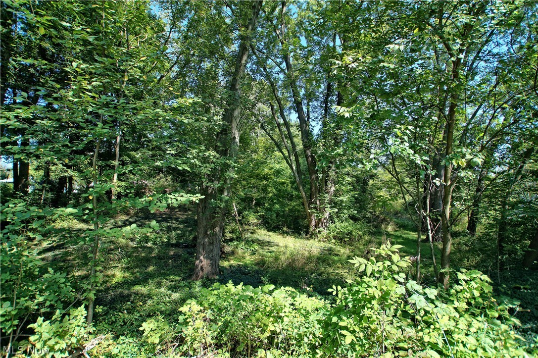 Matteson - Residential