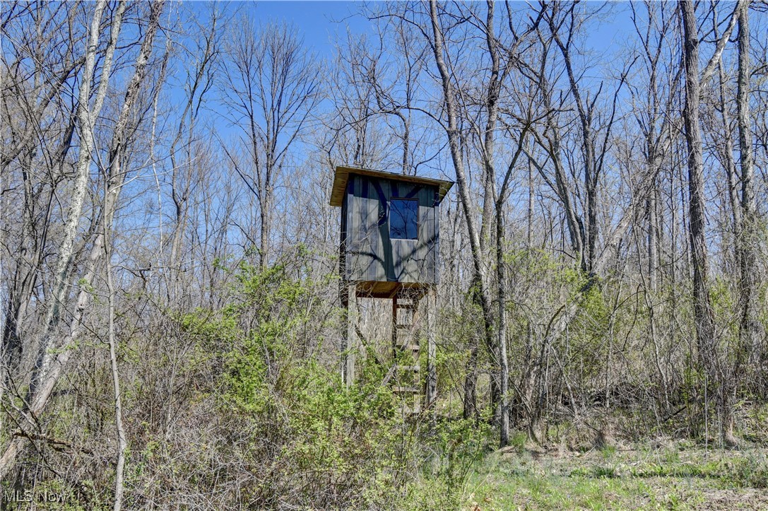 Dutch School Road, Dresden, Ohio image 10