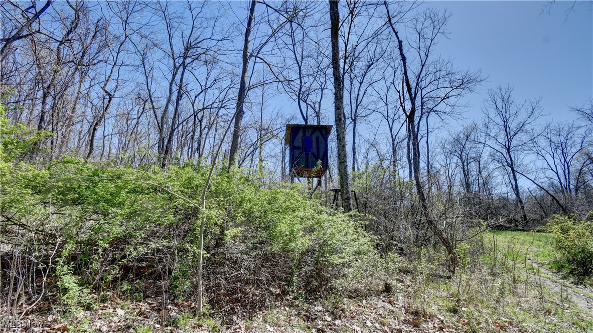 Dutch School Road, Dresden, Ohio image 16