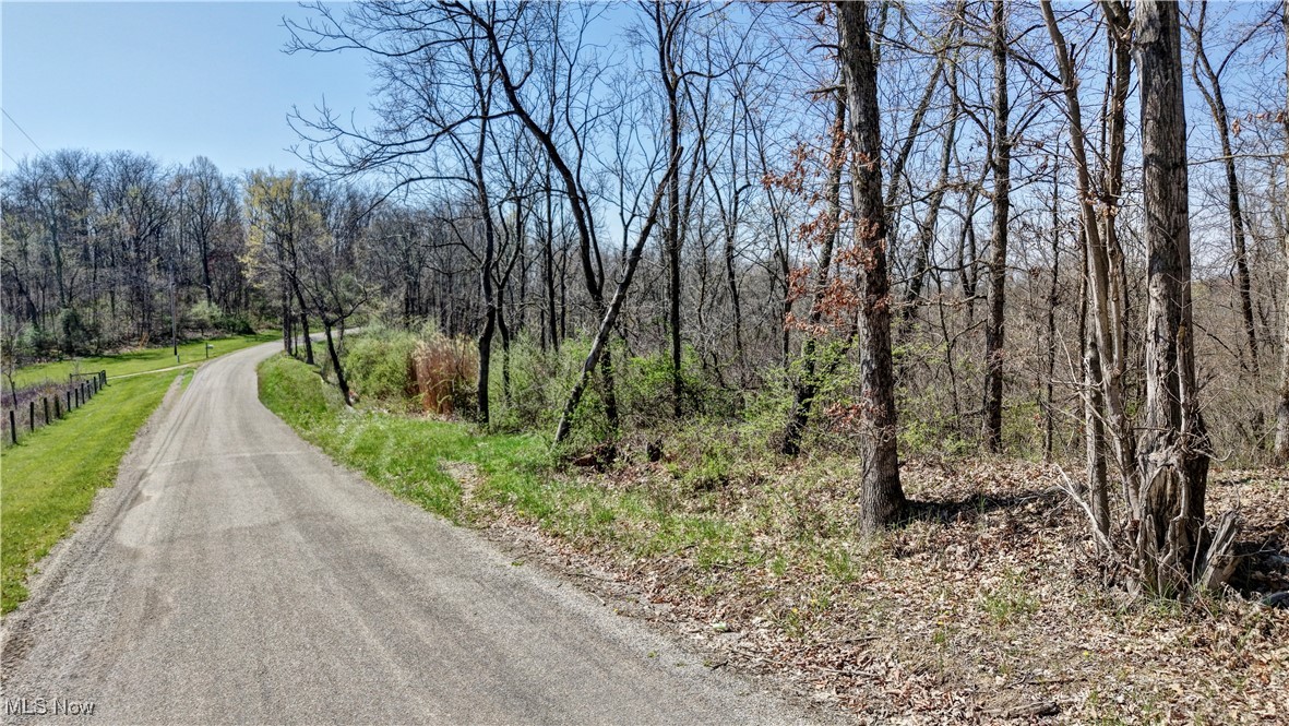 Dutch School Road, Dresden, Ohio image 8