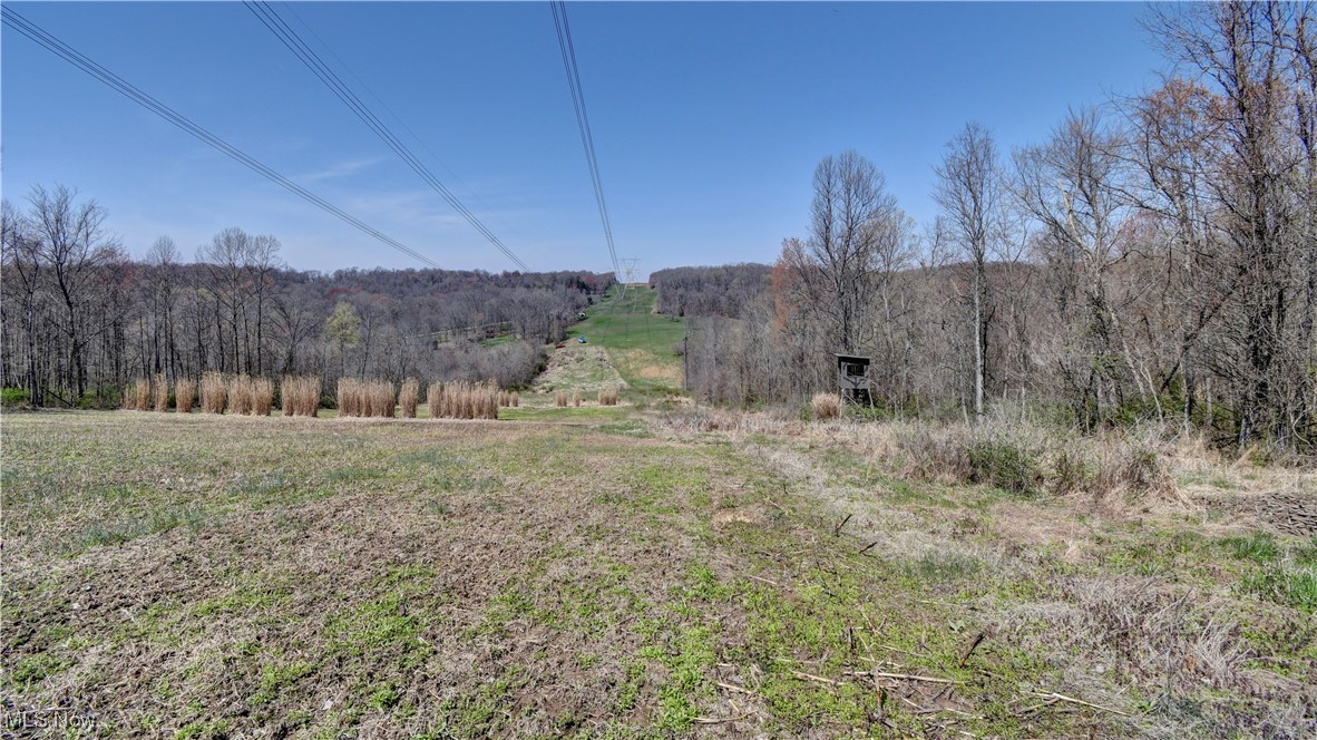 Dutch School Road, Dresden, Ohio image 18