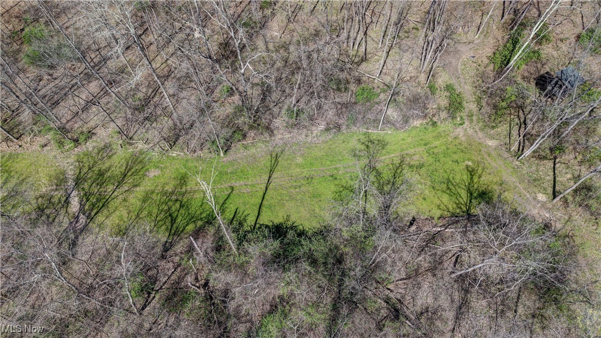 Dutch School Road, Dresden, Ohio image 6