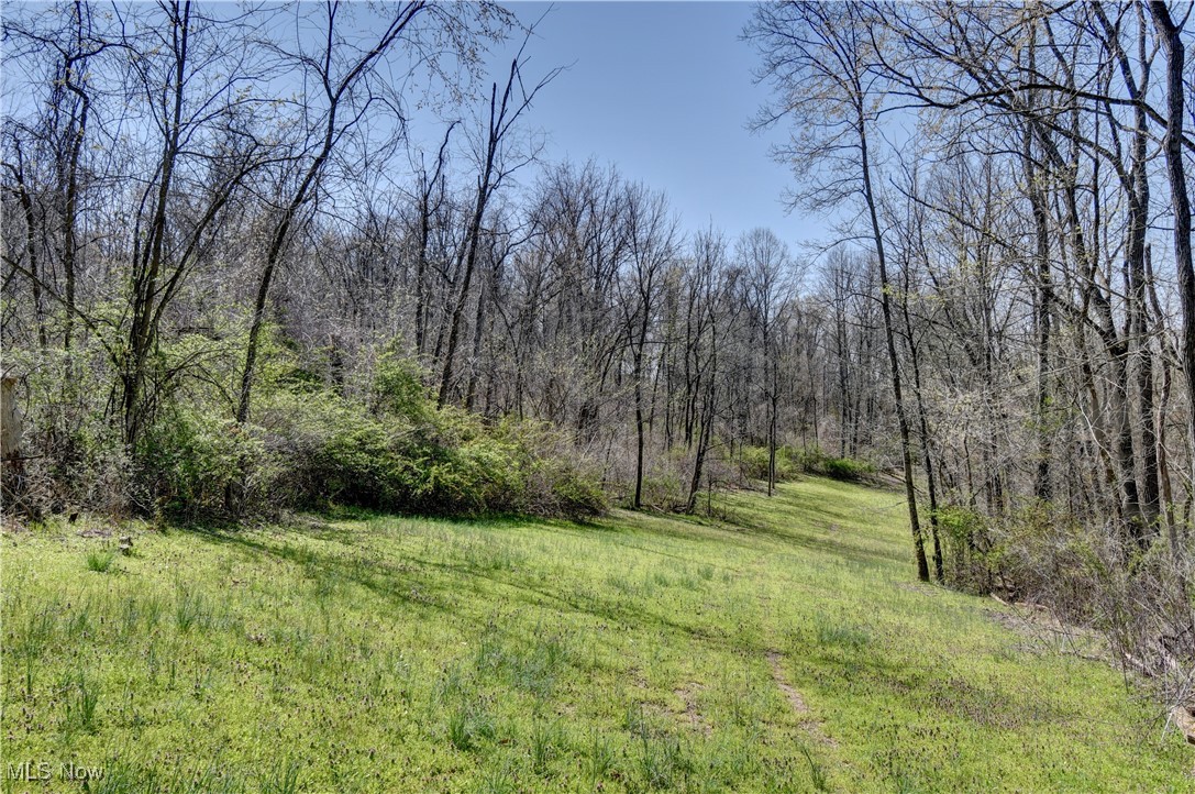 Dutch School Road, Dresden, Ohio image 11