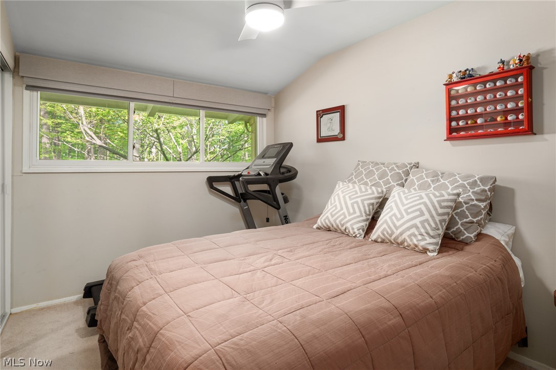 Forest Park - Residential