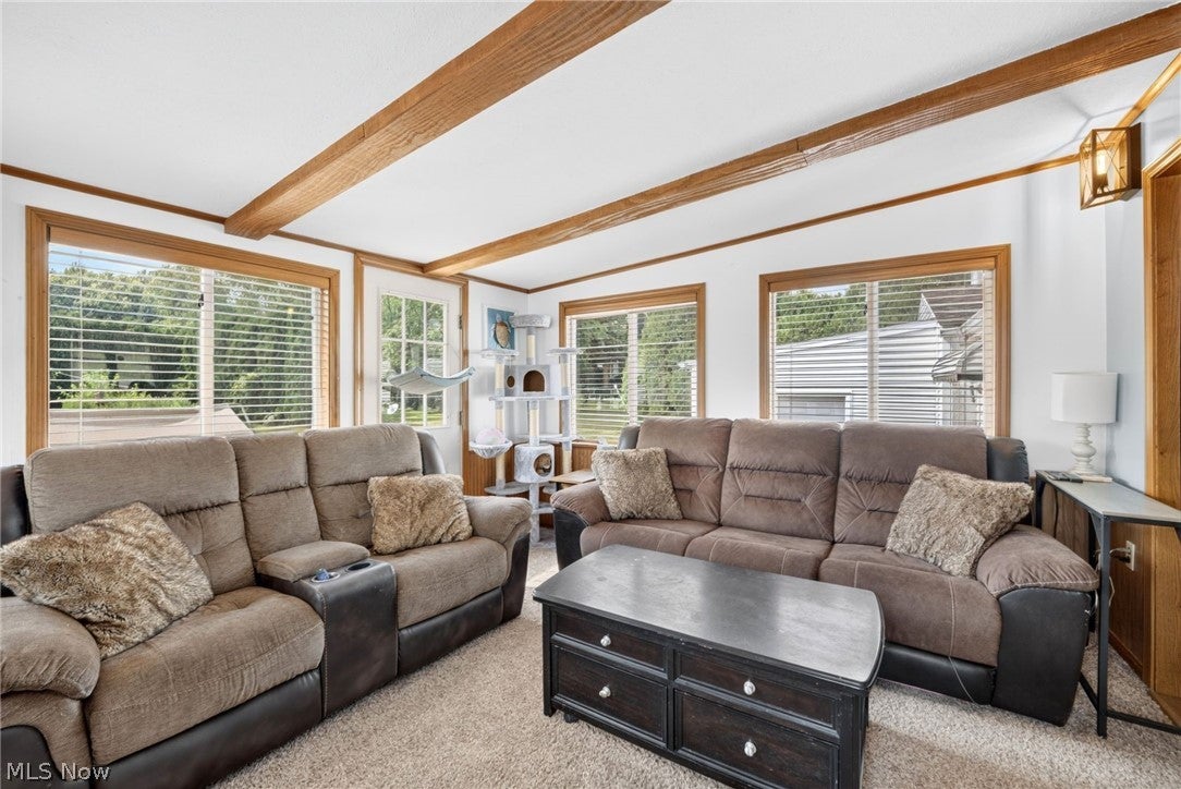 1313 Martin Road