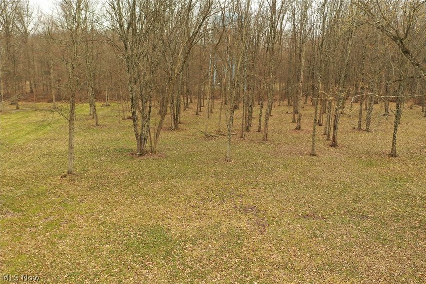 Lovely lot in the heart of the City of Columbiana!  Within walking distance to the stunning Harvey S. Firestone recreational park . This 3/4 acre level lot is waiting for you to build your dream home, featuring 117’ frontage x 280’ lot depth treed lot. With the 15 year tax abatement the City of Columbiana does not have many lots left for new homes, don’t miss your chance!
