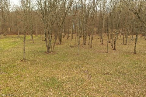 Vacant Land For Sale - 535 Bell<br/> Columbiana, OH 44408