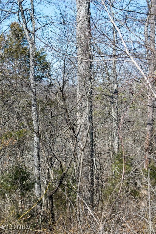 Dixon Ridge Road, Lowell, Ohio image 29