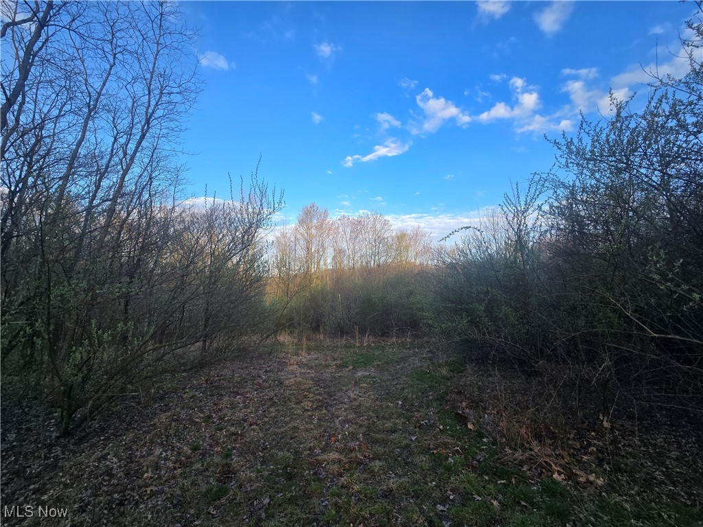 Township Rd 375, Warsaw, Ohio image 4