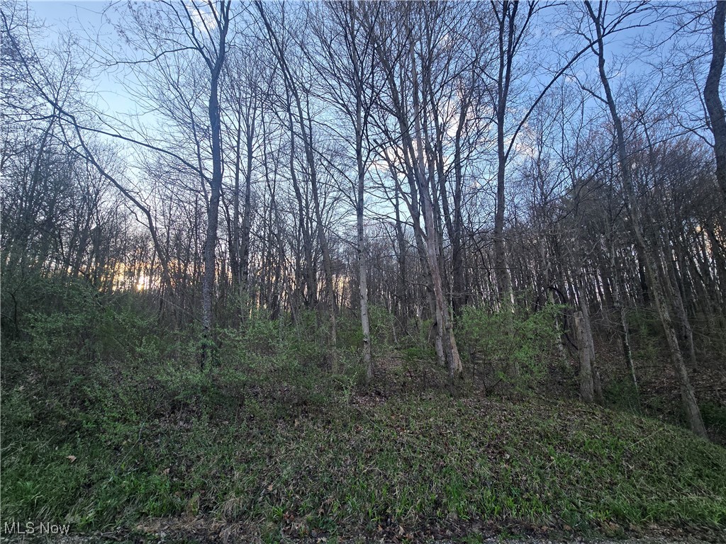 Township Rd 375, Warsaw, Ohio image 14