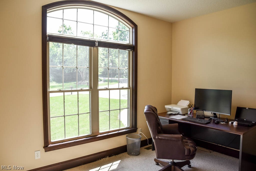 Treemont Estates 1 - Residential