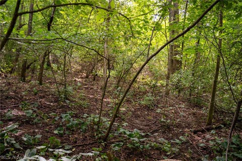 Tiny photo for 21626 TR 80, Warsaw, OH 43844 (MLS # 5239596)