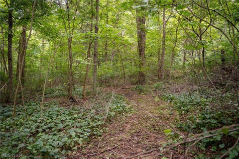 Tiny photo for 21626 TR 80, Warsaw, OH 43844 (MLS # 5239596)