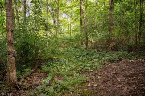 Tiny photo for 21626 TR 80, Warsaw, OH 43844 (MLS # 5239596)