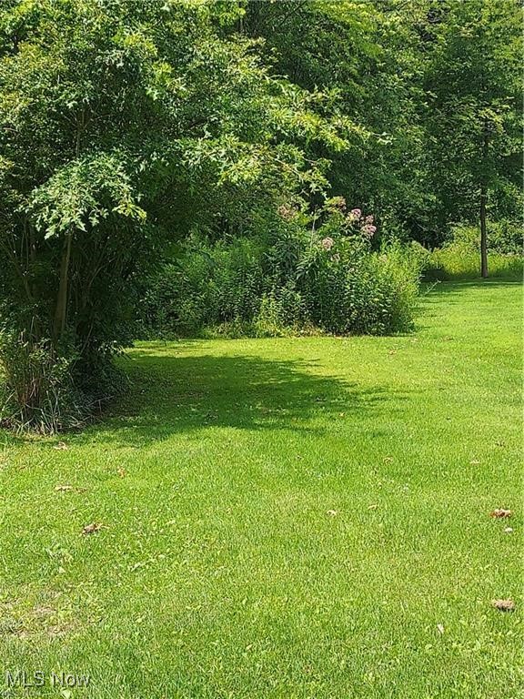 Manchester Street, Lake Milton, Ohio image 2