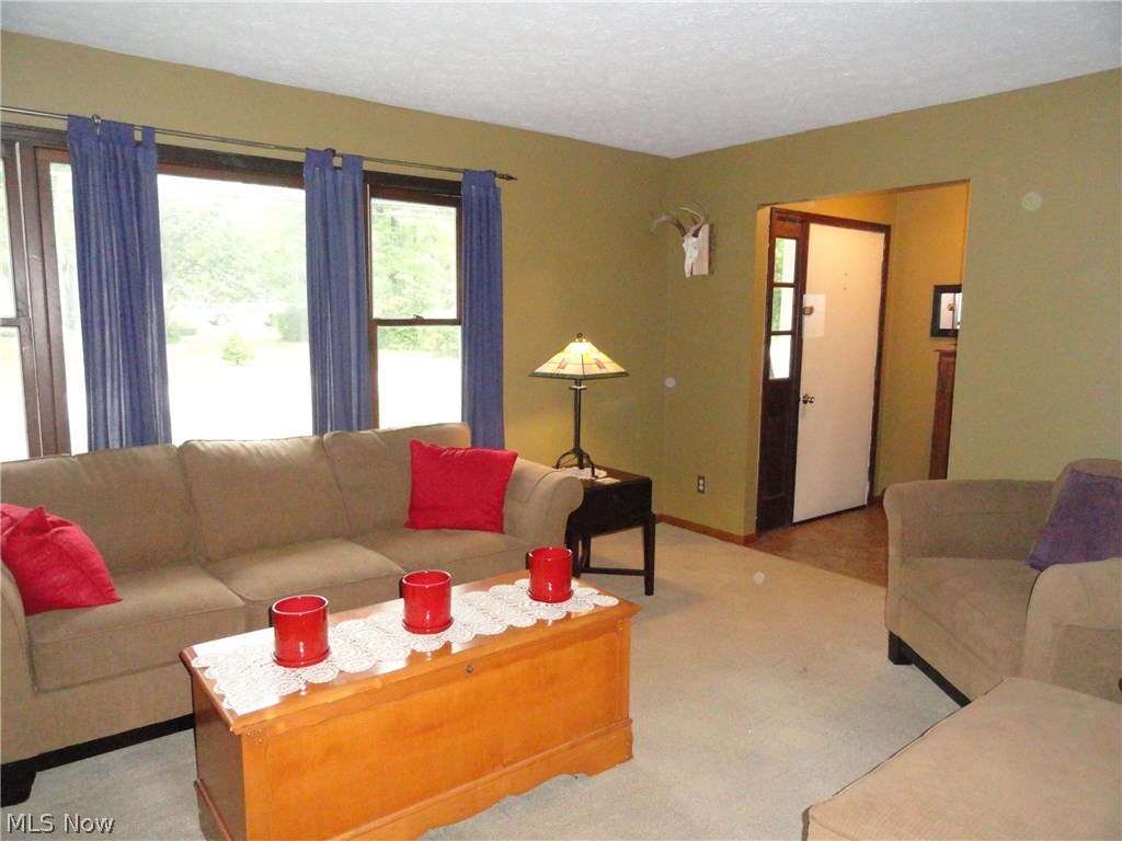 Silver Lake Little Farms - Residential