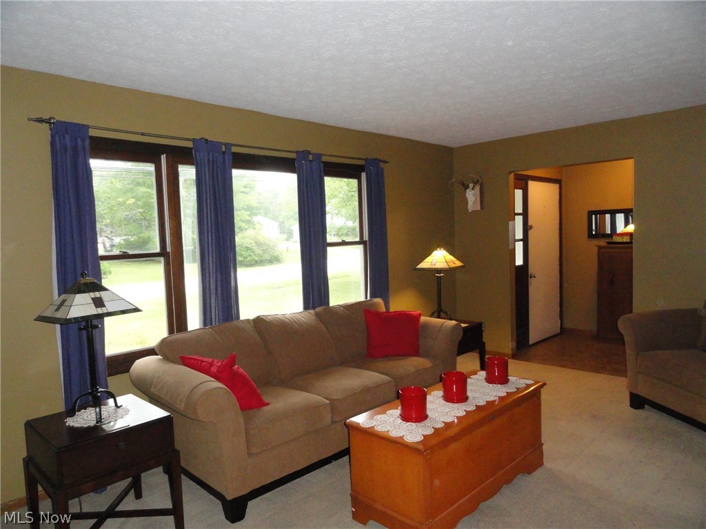 Silver Lake Little Farms - Residential