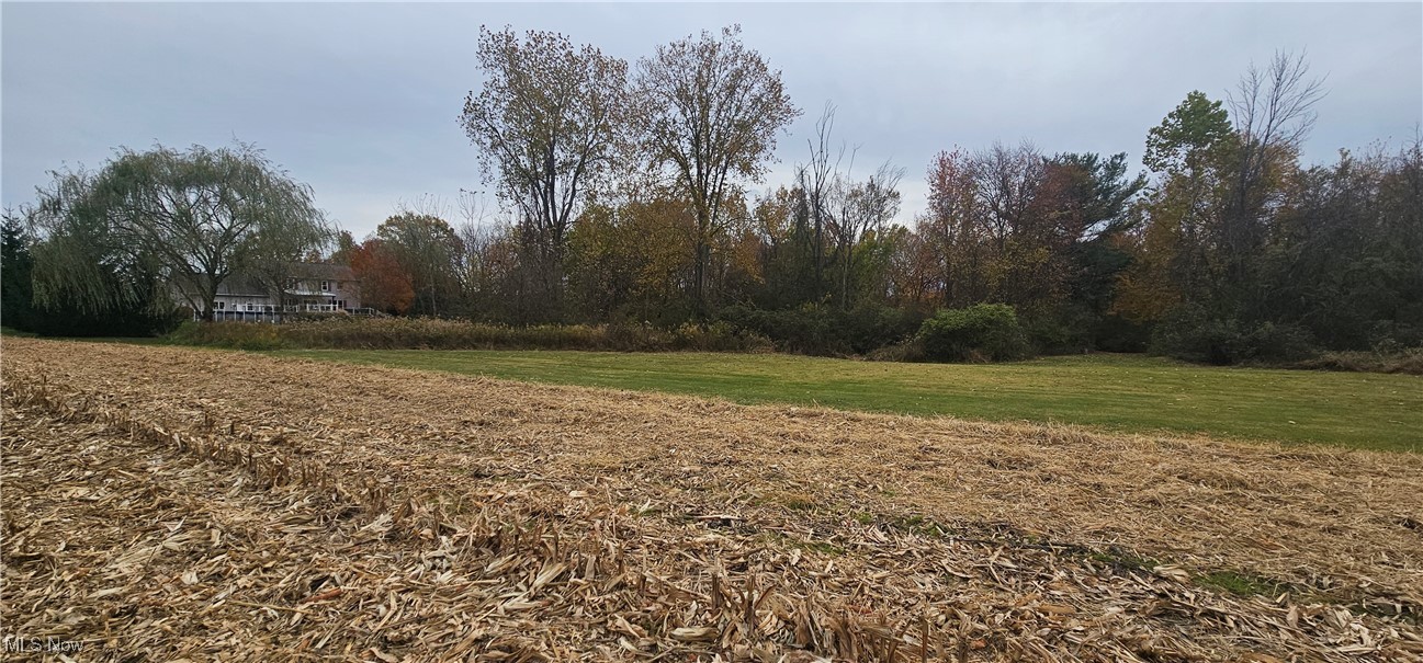 Brighton Tr 07 - Land