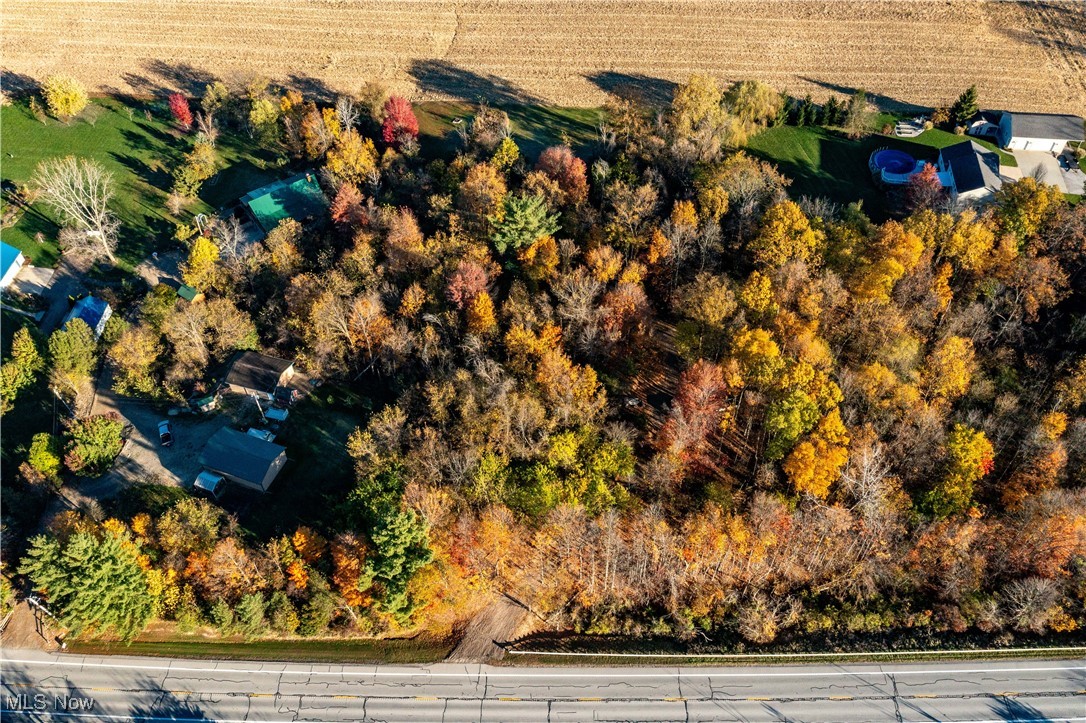 Brighton Tr 07 - Land