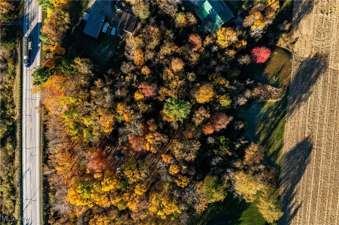 Brighton Tr 07 - Land