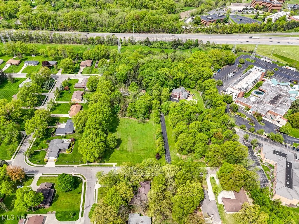 Daisy Boulevard, Independence, Ohio image 3