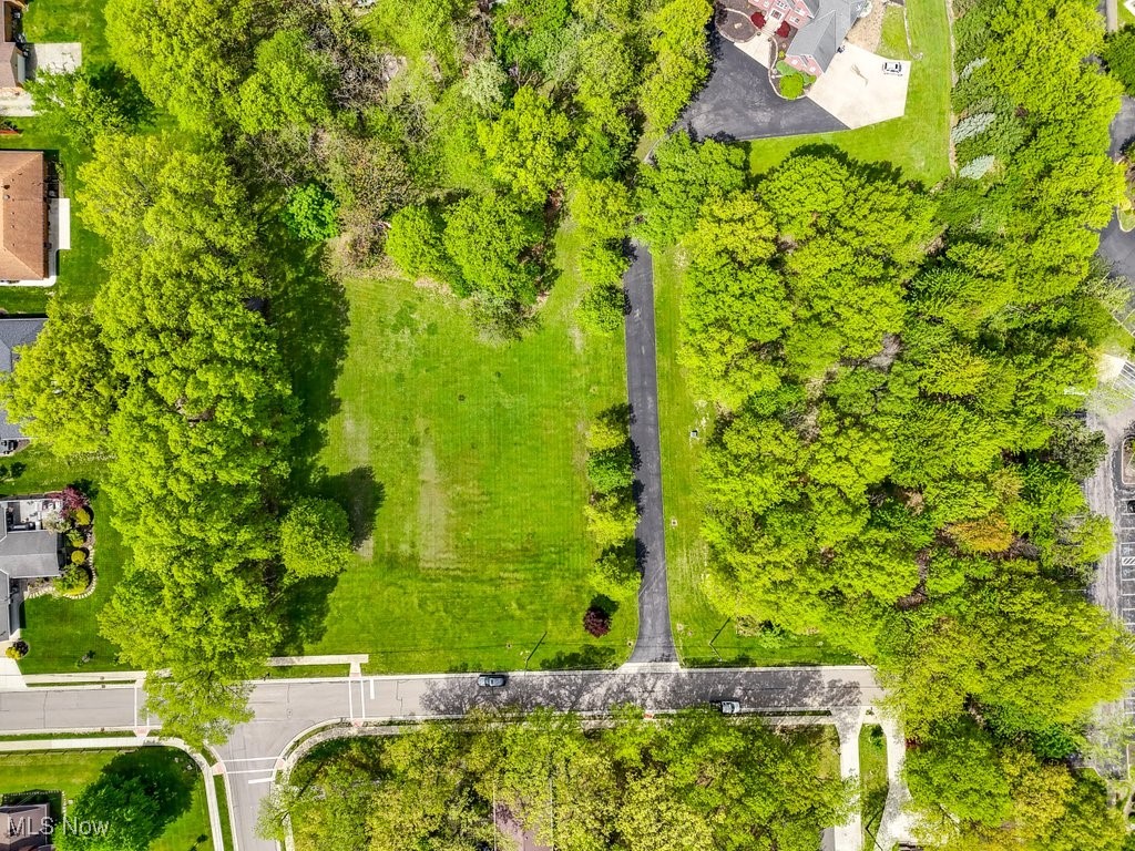 Daisy Boulevard, Independence, Ohio image 2