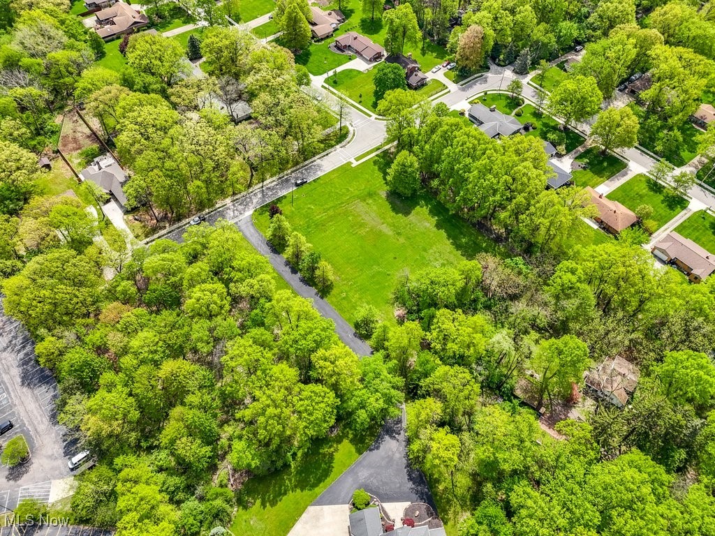 Daisy Boulevard, Independence, Ohio image 4