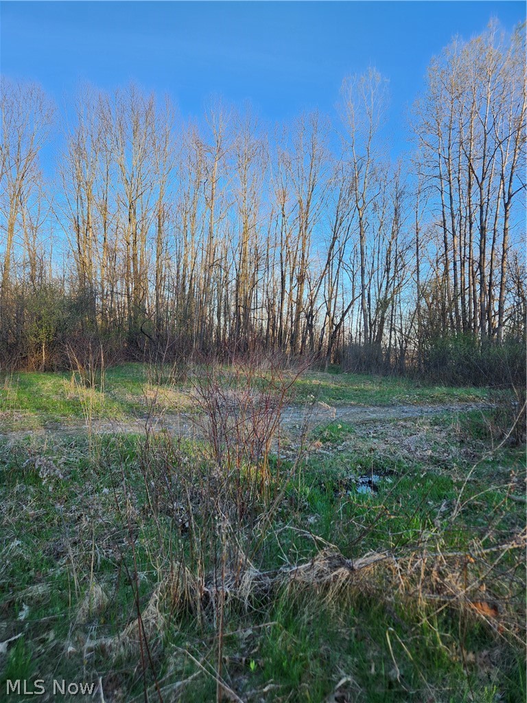 Mcdonald Heights - Land