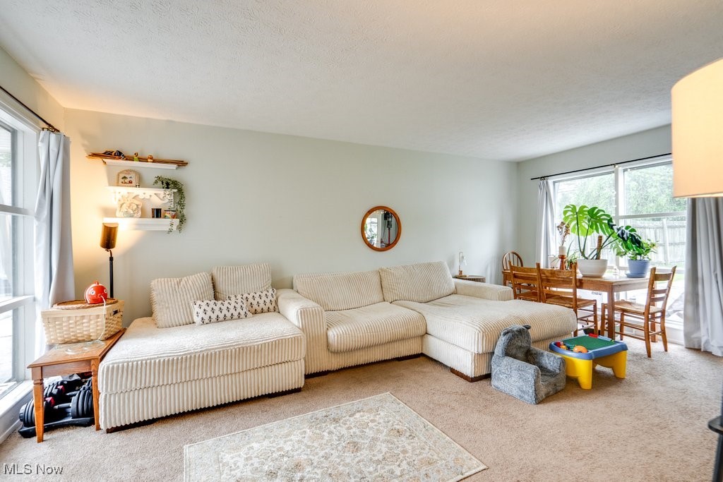 9365 Manorford Drive