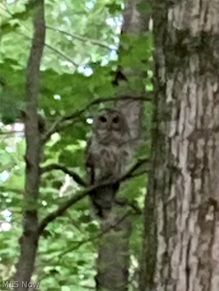 Claridon Woods - Residential