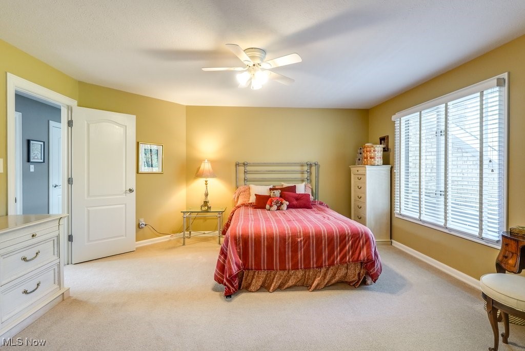 3621 N Shore Drive, Akron, Ohio image 33