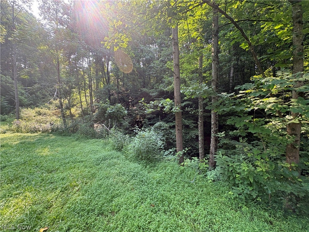 0 Twp Road 369