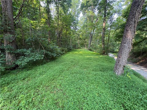 Vacant Land For Sale - Twp Road 369<br/> Clarington, OH 43915