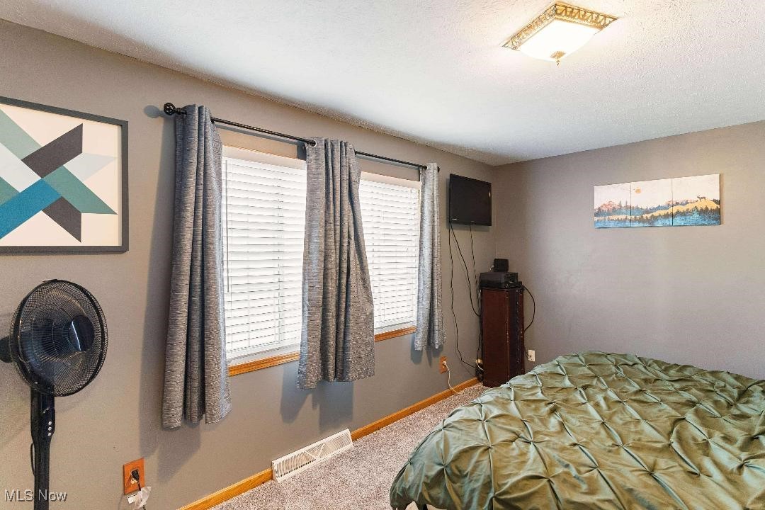 4239 S Raccoon Road, Canfield, Ohio image 15